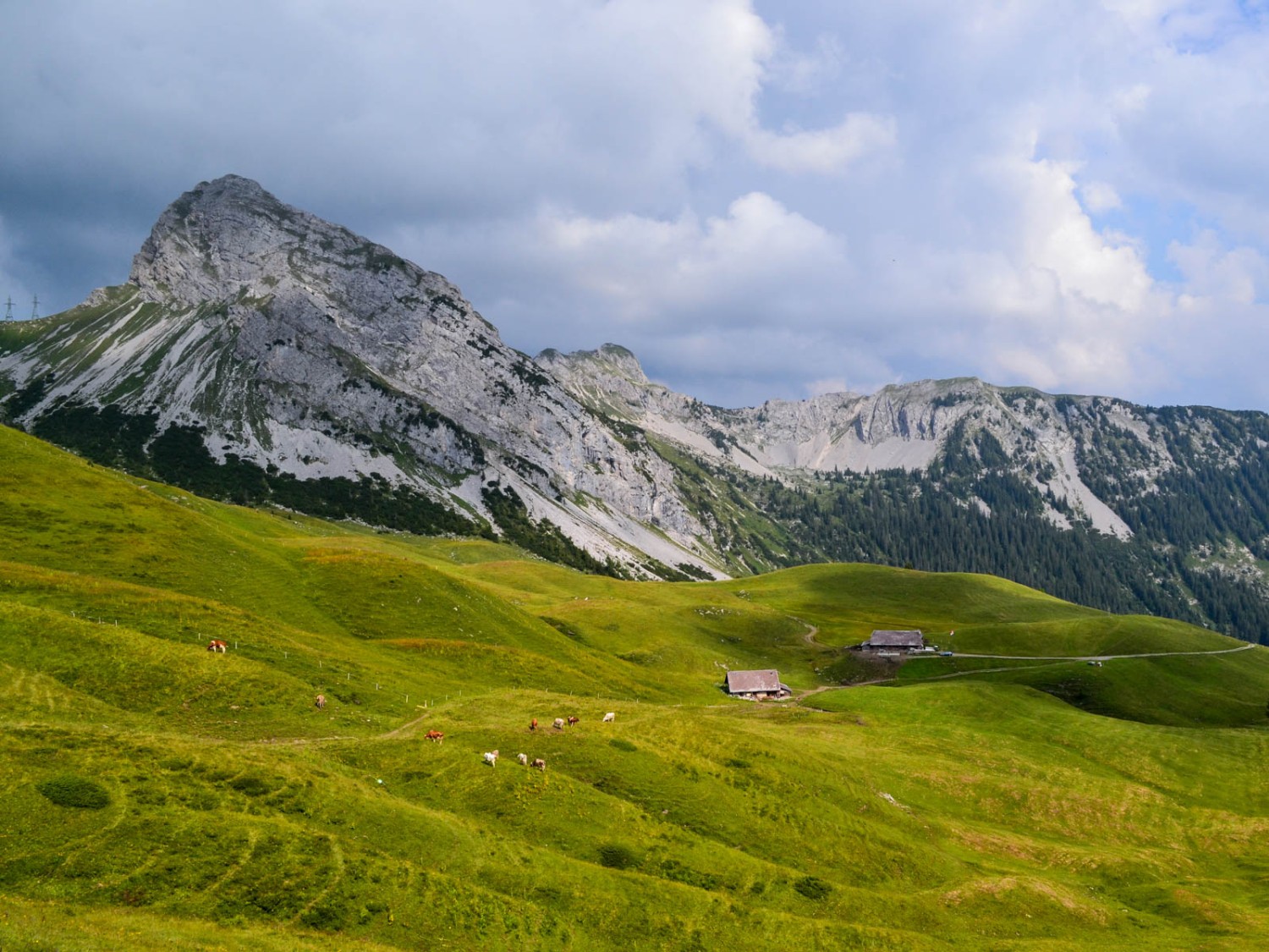 Blick von der Dundelegg zur Rossflue und zur Schafnase rechts. Bild: Sabine Joss