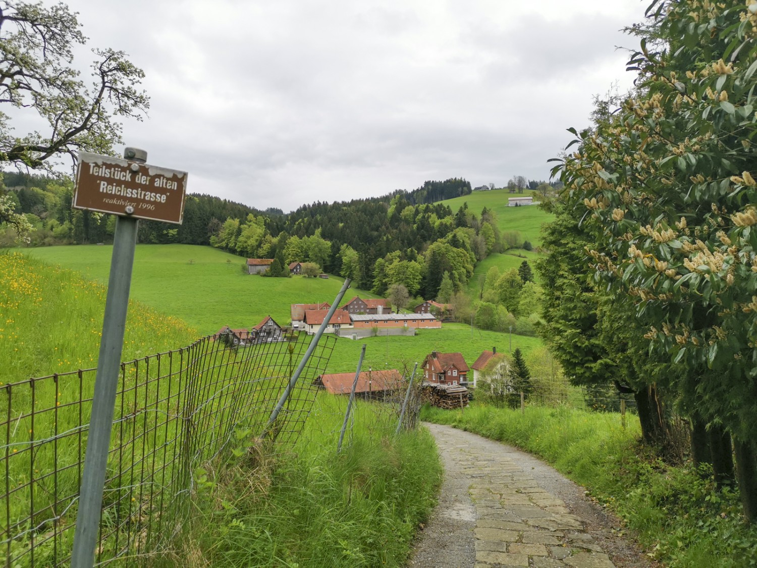 Rekonstruiertes Teilstück der alten Reichsstrasse bei Würzwallen. Bild: Evelyne Zaugg