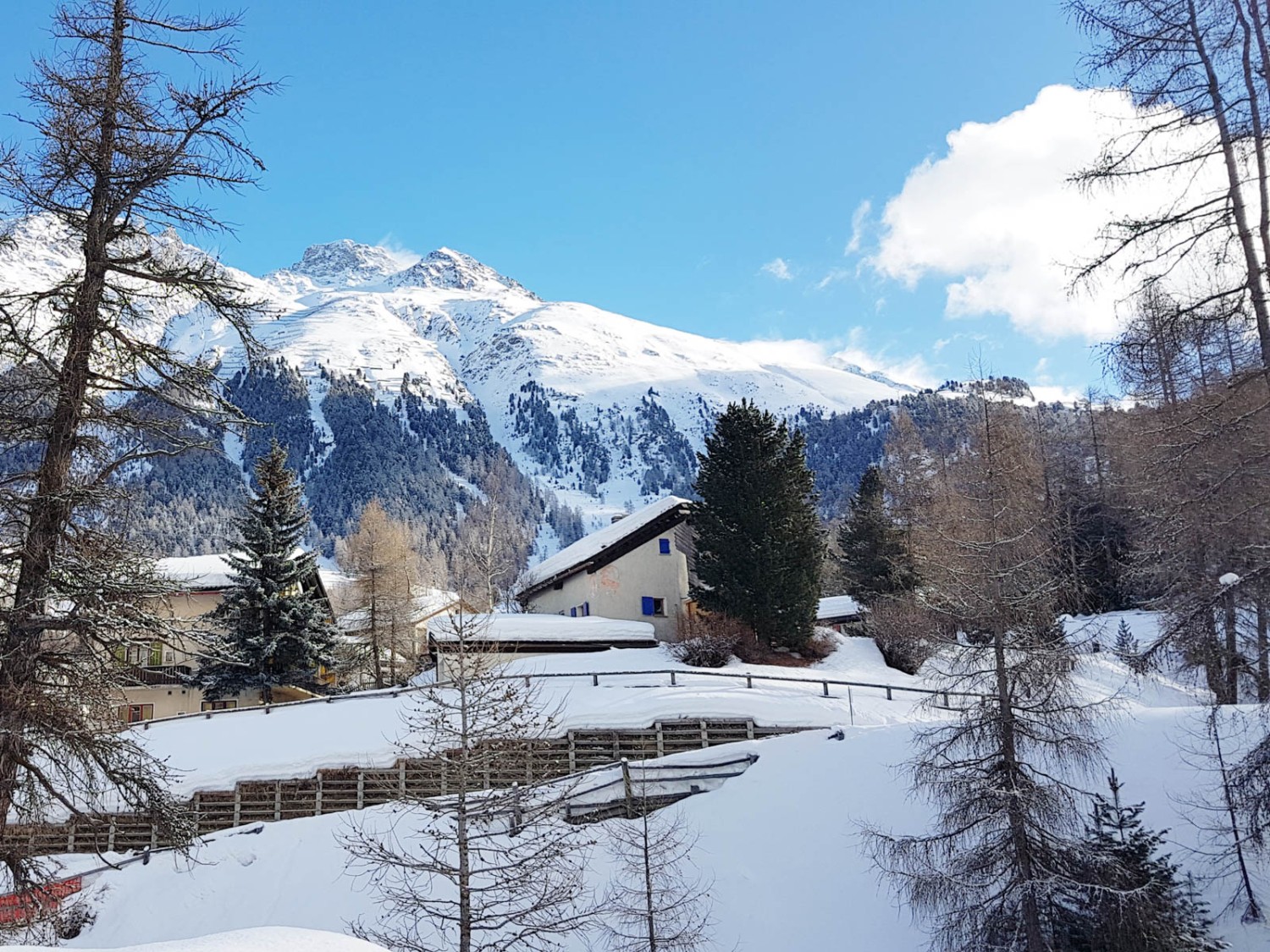 Am schönsten ist die Winterwanderung, wenn es gerade geschneit hat. Bild: Laura Riedi