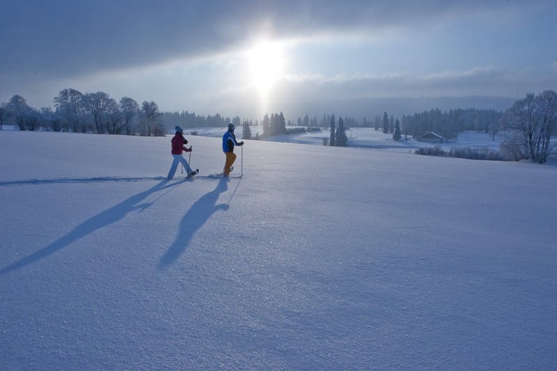 Les Franches-Montagnes, vaste étendue de pâturages au relief très doux, se prêtent à merveille aux randonnées en raquettes. Photo: Jura Tourisme