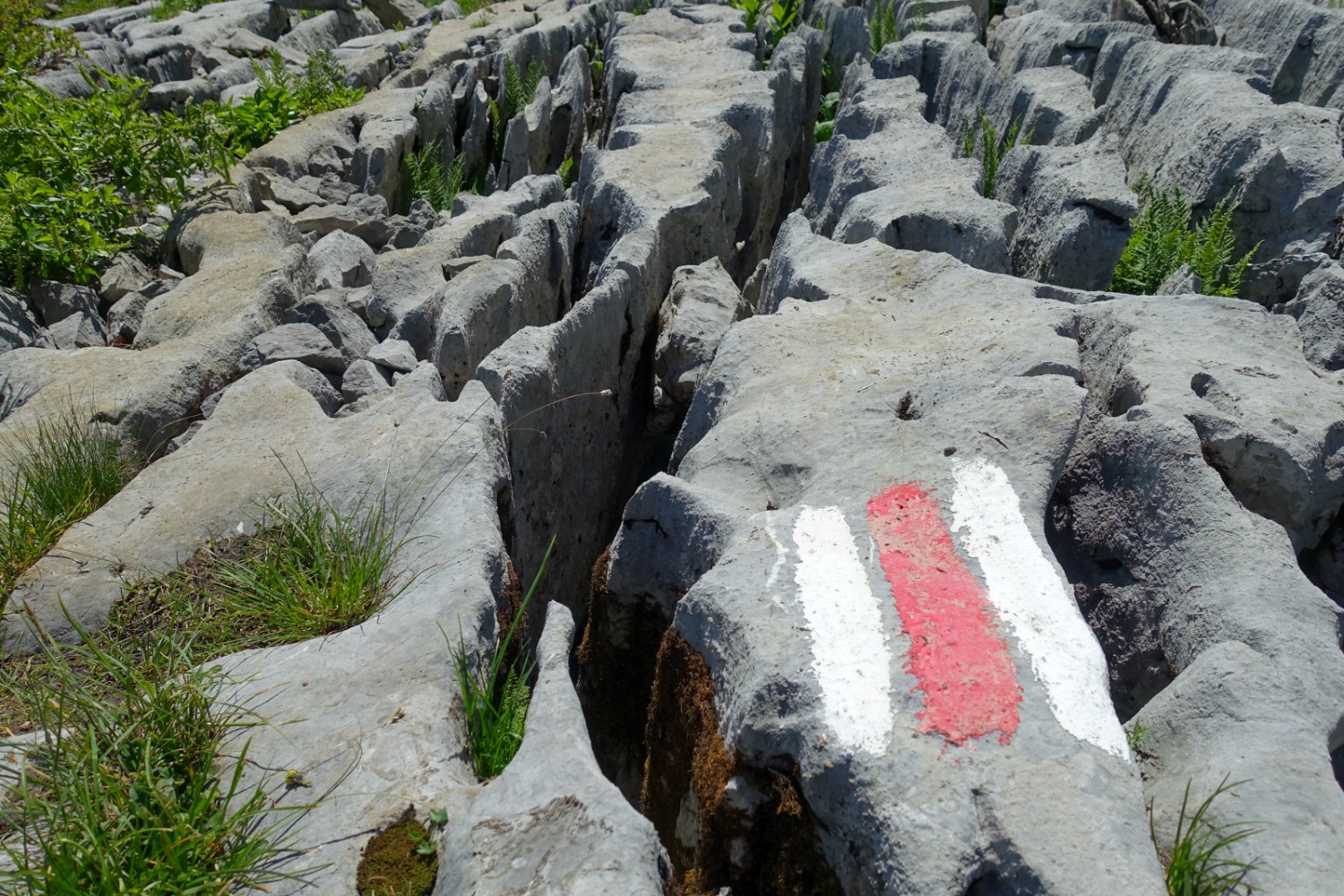 Der Weg führt mitten durch das Karstgebiet. Bild: Christiana Sutter 