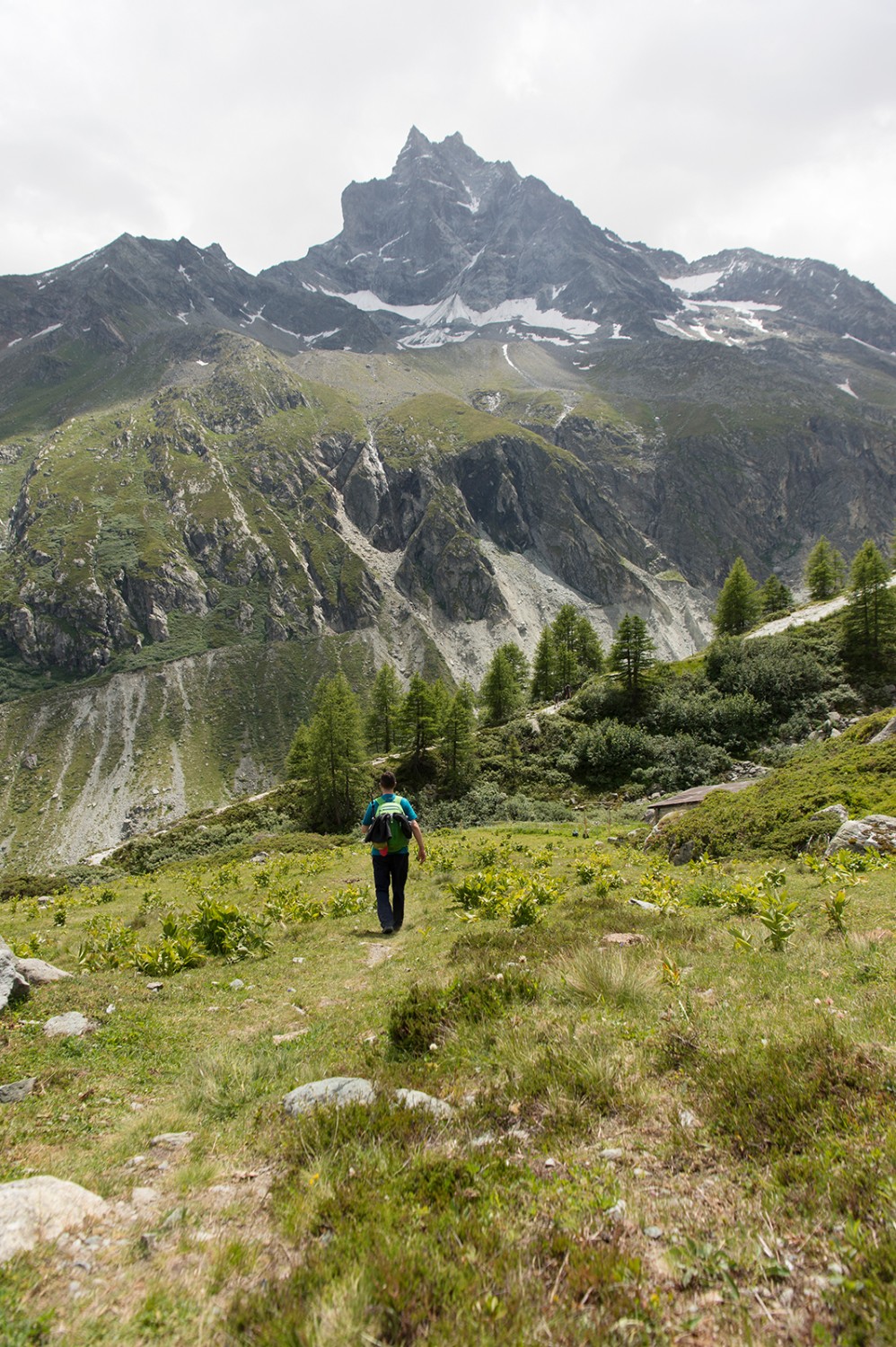 Au-dessus de la cabane du Petit Mountet, la nature se fait plus sauvage.