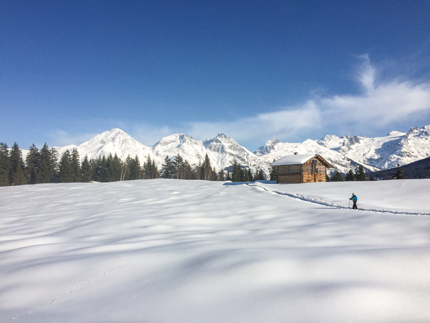 Un monde en soi: belle ambiance paisible sur l’Alp Prau Sura. Photo: Rémy Kappeler