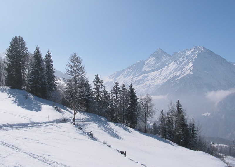 Ausblick vom Sonnenhang des Haslibergs hinüber zu Ritzlihorn und Gallauistock.
Bild: Andreas Staeger