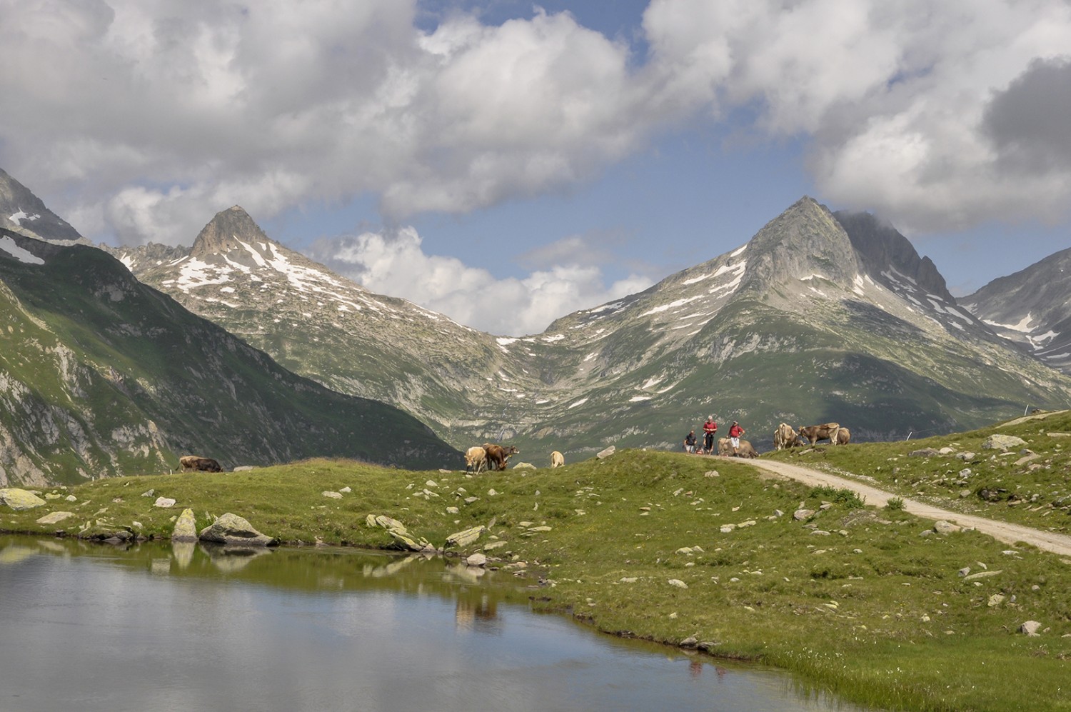 Le Lai Urlaun en dessous du refuge de Maighels, avec en arrière-plan le col de l’Oberalp. Photo: Daniel Fuchs