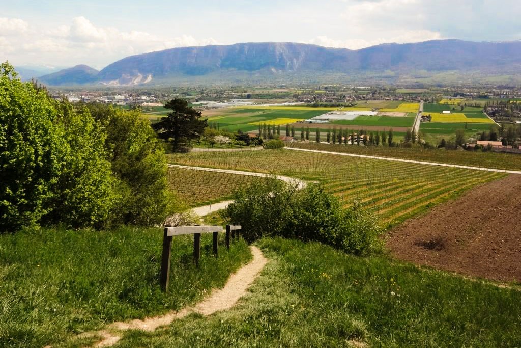 Vue sur le Salève depuis le Signal de Bernex. Toutes photos: Miroslaw Halaba