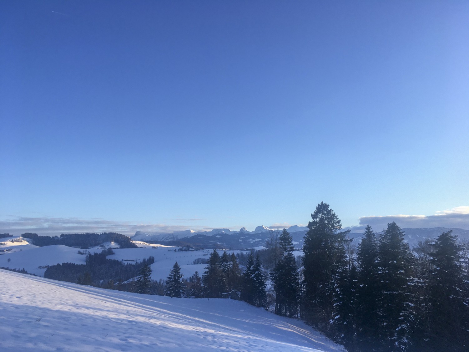 Aussicht auf den Gantrisch von Borisried aus. Bild: Jürg Steiner