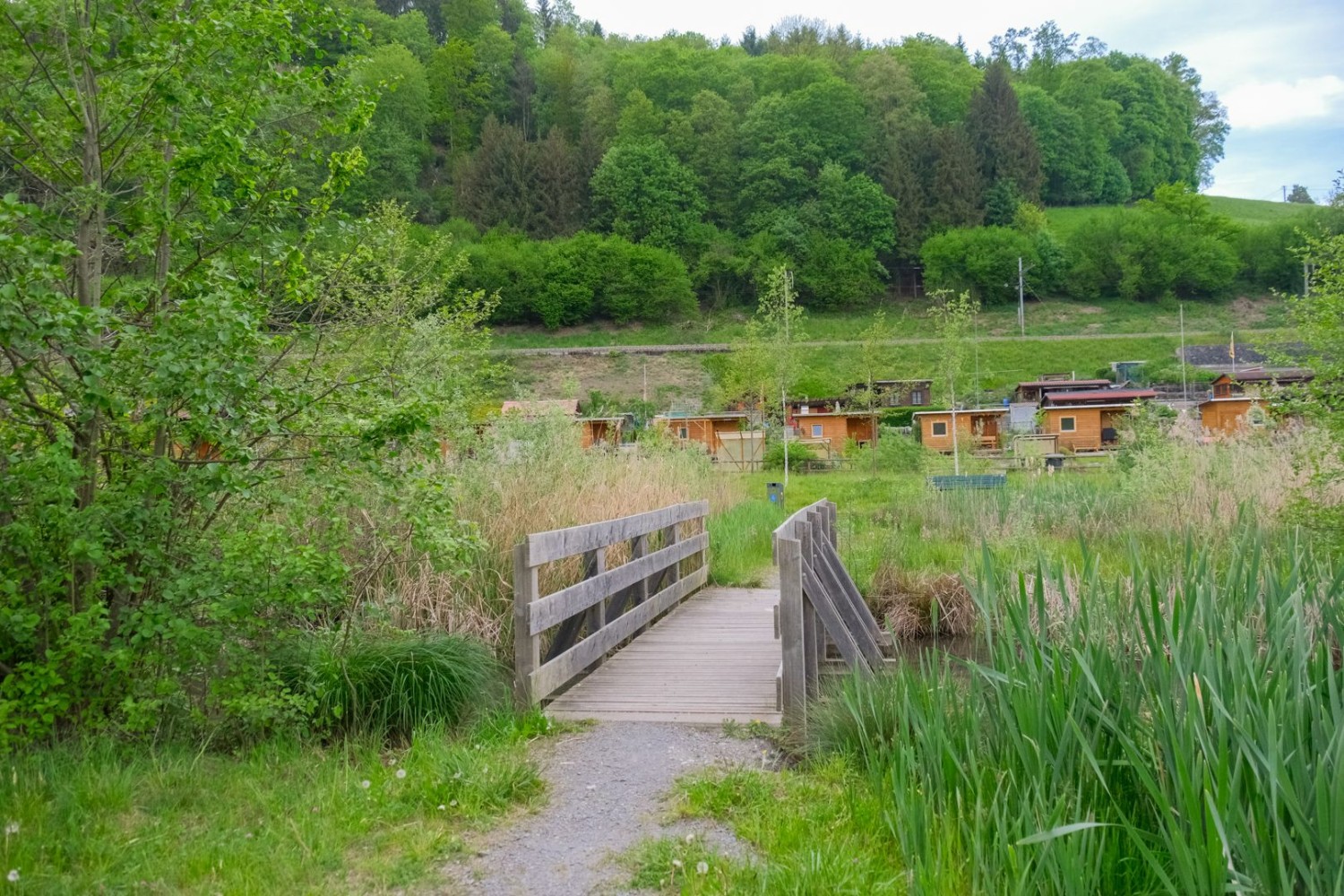 La zone autour des jardins familiaux près du cimetière Friedental a été transformée en un lieu de loisirs de proximité il y a quelques années.