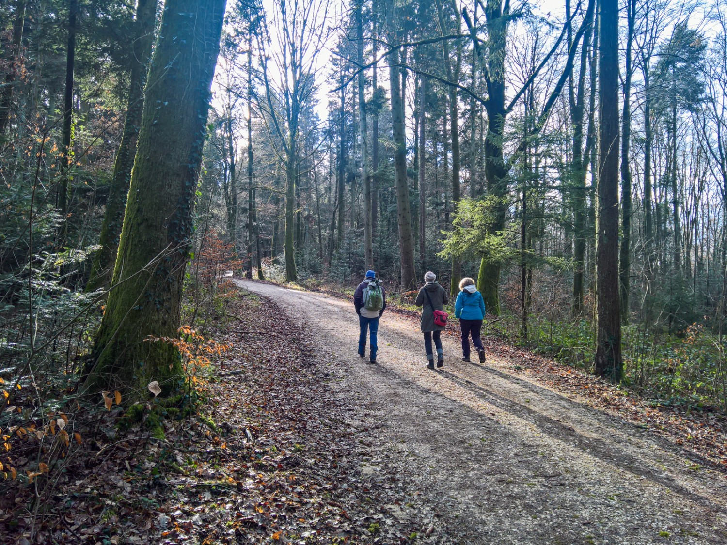 ... et dans des forêts. Photo: Andreas Staeger