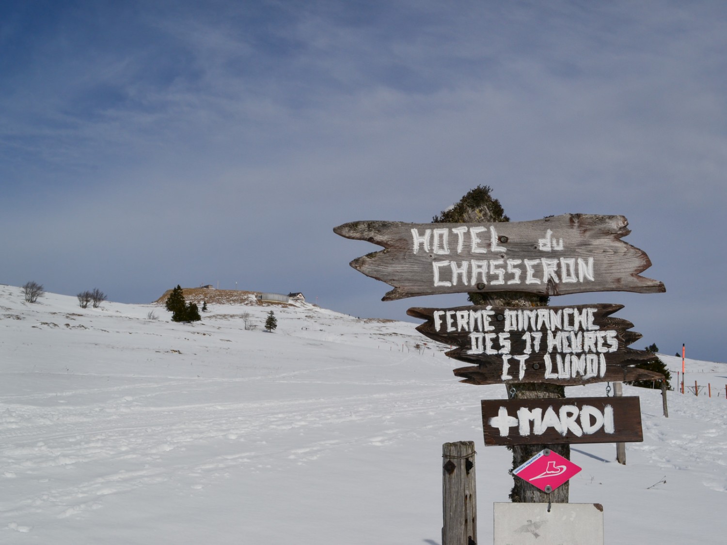 Auf den Weiden am Chasseron.