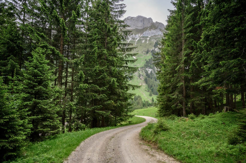 Die Wanderung ist abwechslungsreich und verlangt einem bis zum Leuenfall konditionell nicht allzu viel ab.
