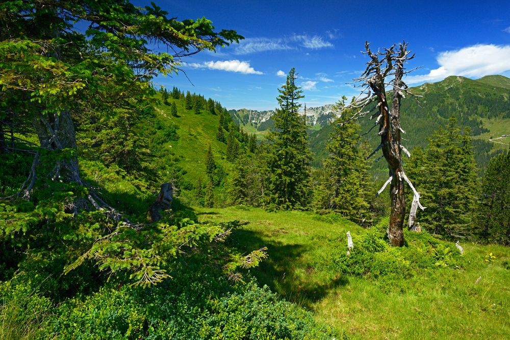 Vue depuis Miesenegg.