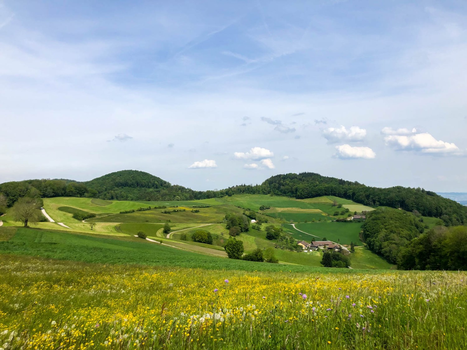 Le Parc du Jura argovien et ses charmants paysages attirent les visiteurs. Photo: Vera In-Albon