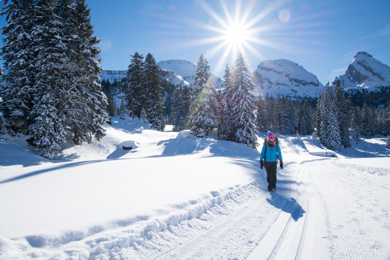 Wandern vor den Churfirsten. Bilder: Randy Schmieder