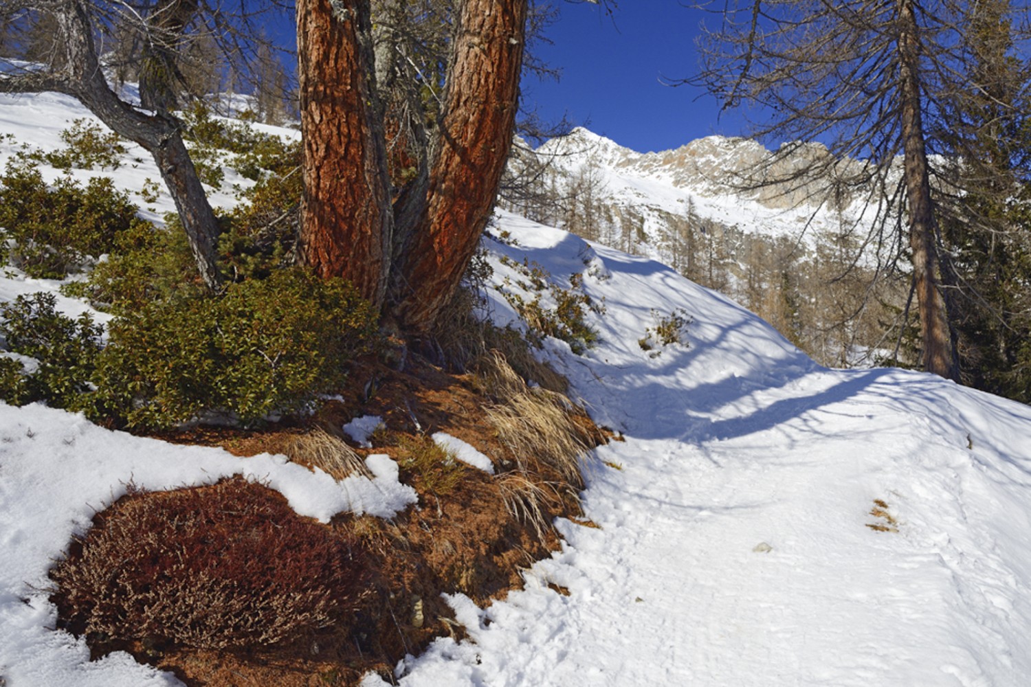 Encore quelques virages et l’on est arrivé. Photo: natur-welten.ch