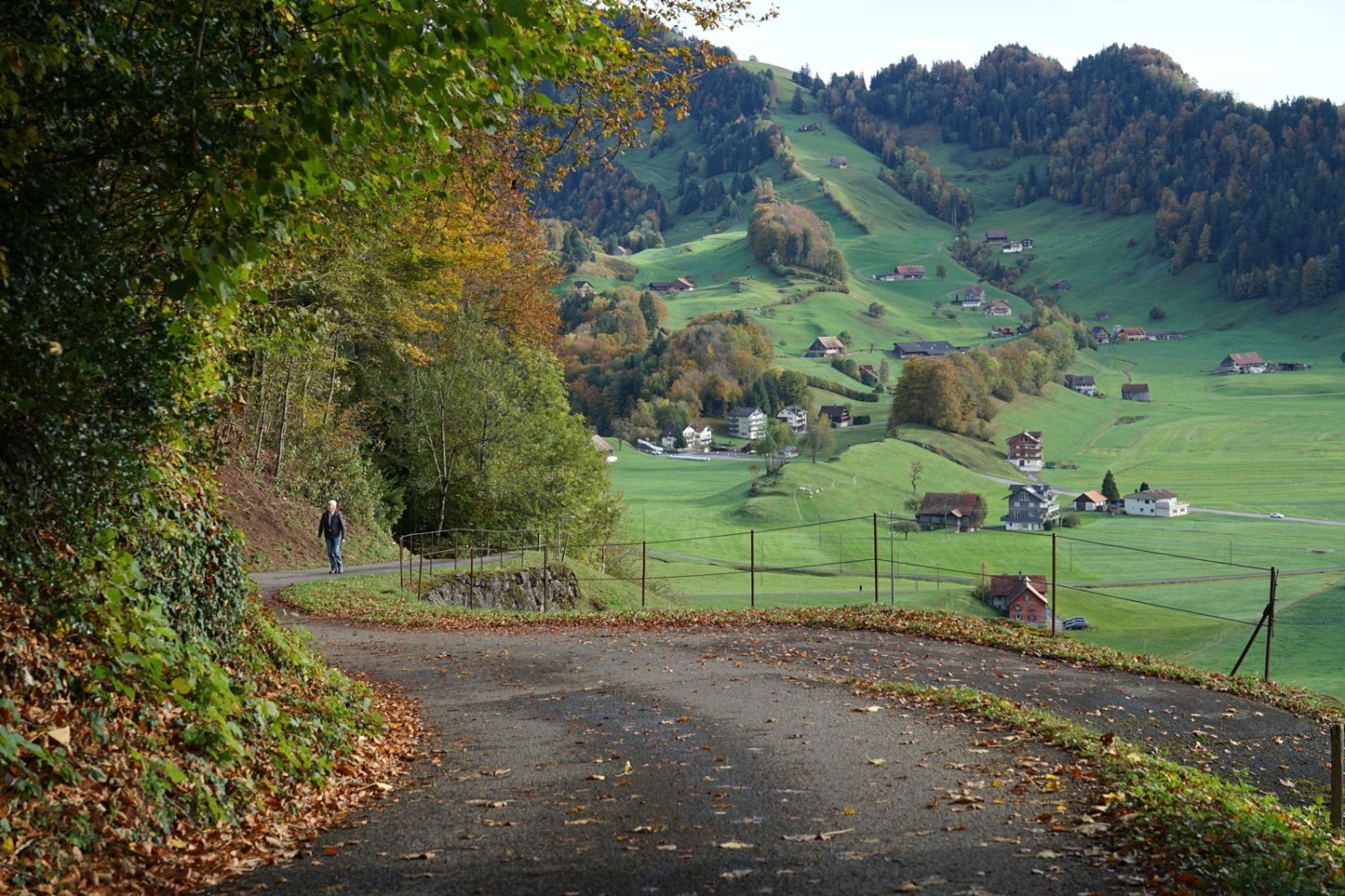 De Sattel, une petite route grimpe en direction de Halsegg.