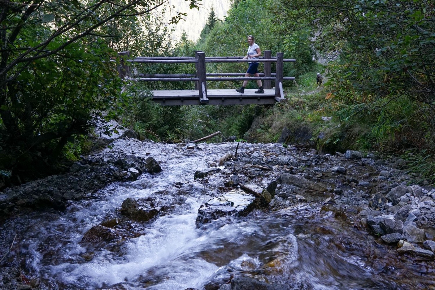 Il y a aussi des tronçons ombragés: pont sur le ruisseau du Milebach.