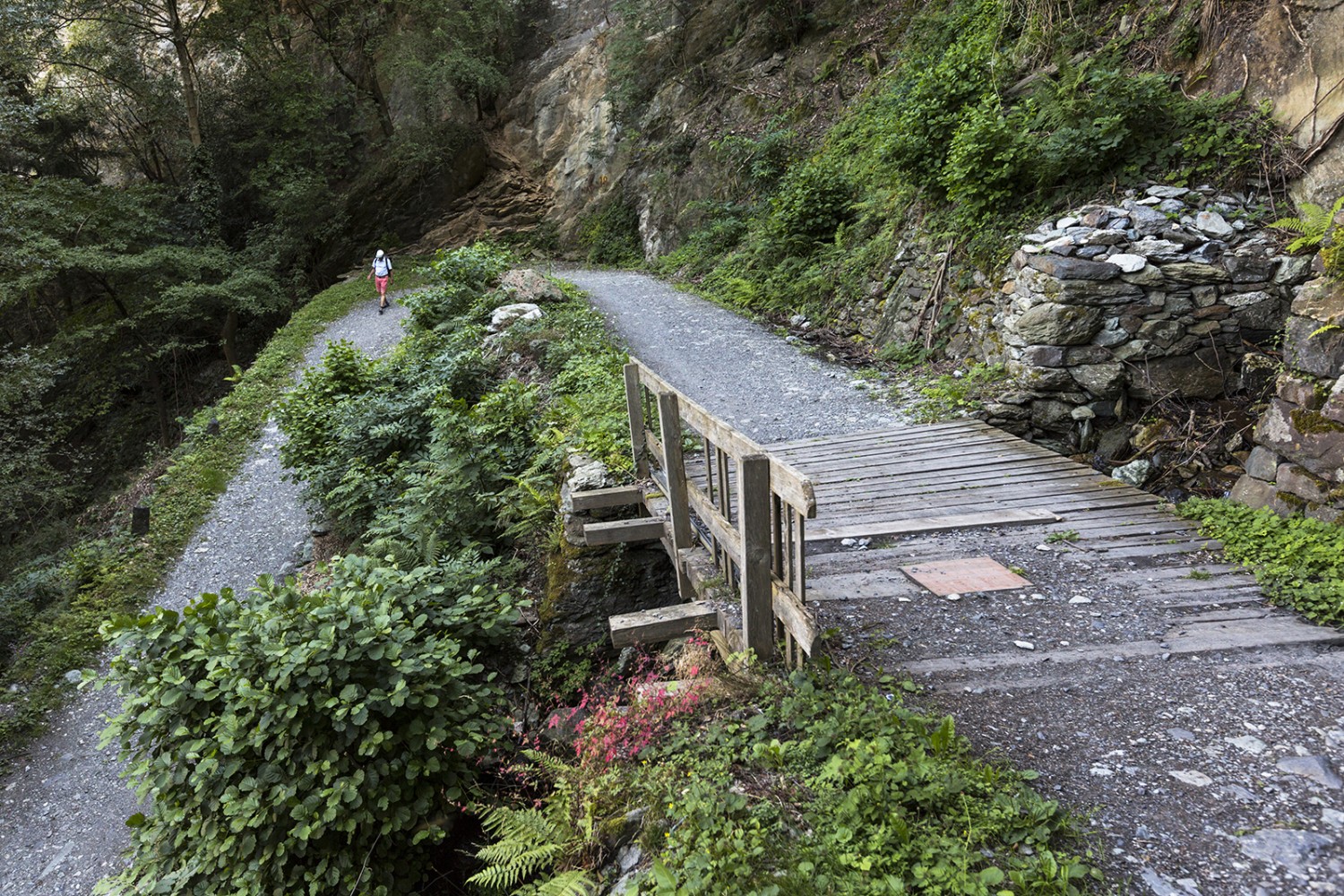 Dank dem geschickt angelegten Trassee weist der Weg bloss ein mässiges Gefälle auf. Bilder: Severin Nowacki