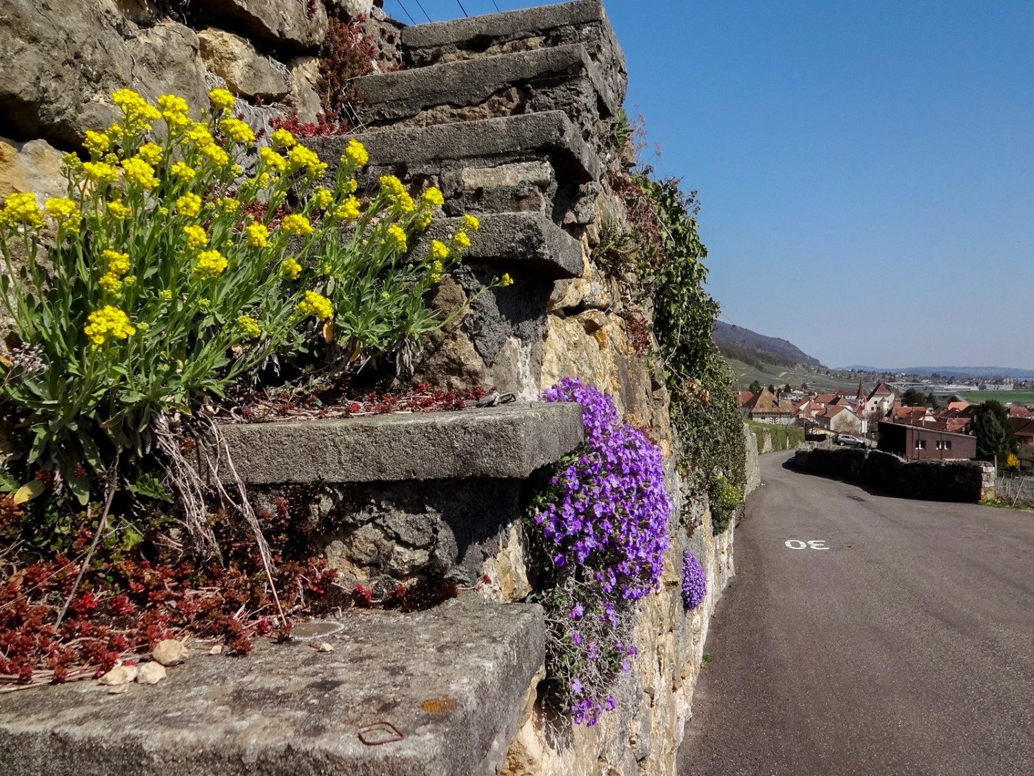 Cressier ist insbesondere für sein Schloss und seine Häuser aus Hauterive-Stein bekannt.