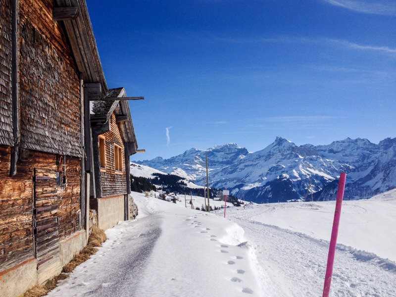 La vue sur les Alpes uranaises est grandiose. Photo: Claudia Peter