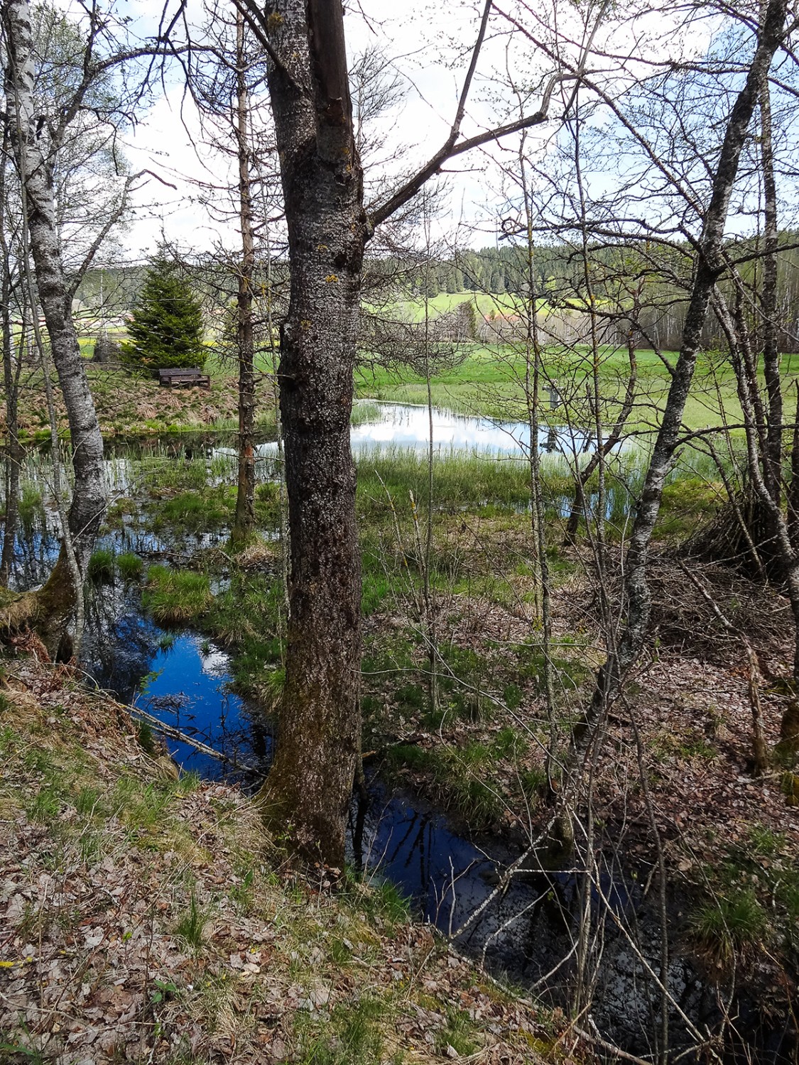 Le fond de la vallée est parsemé de petits marais.