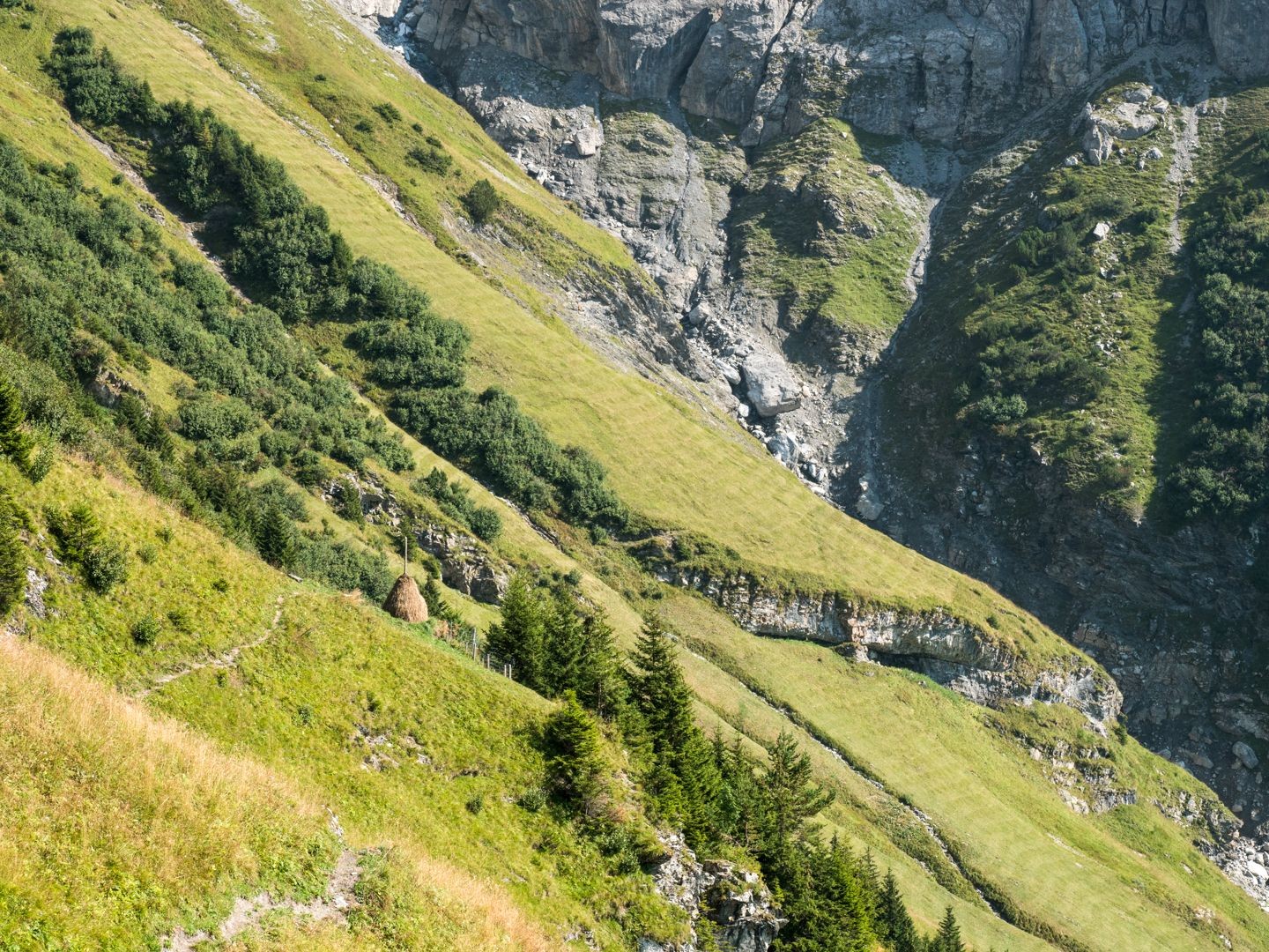 Prairies de foin sauvage et bottes de foin entreposées dans la montée vers le Seewli.