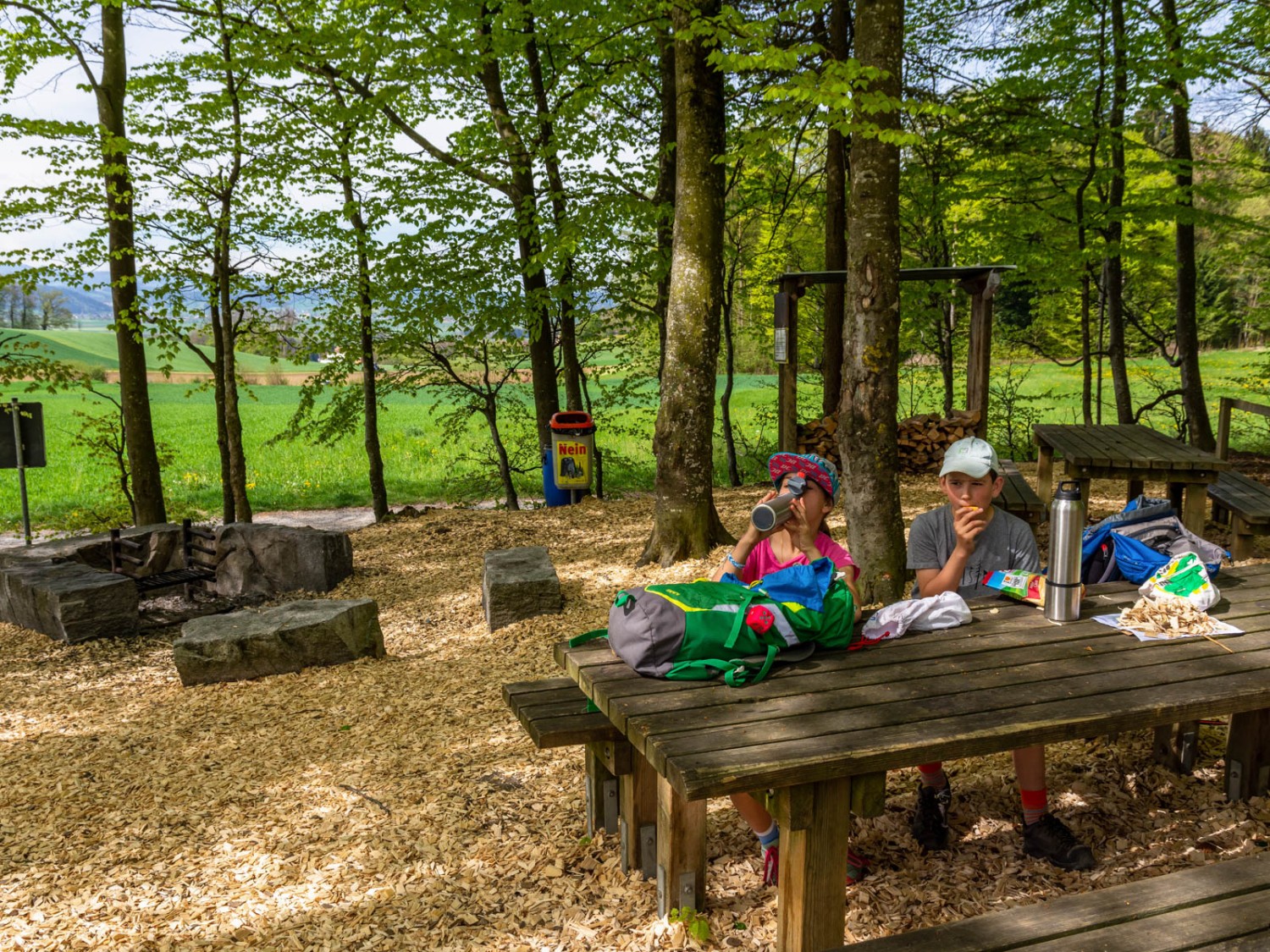 À l’orée de la Pfarrwald au-dessus de St. Erhard, une jolie petite aire invite à la pause. Photo: Franz Ulrich