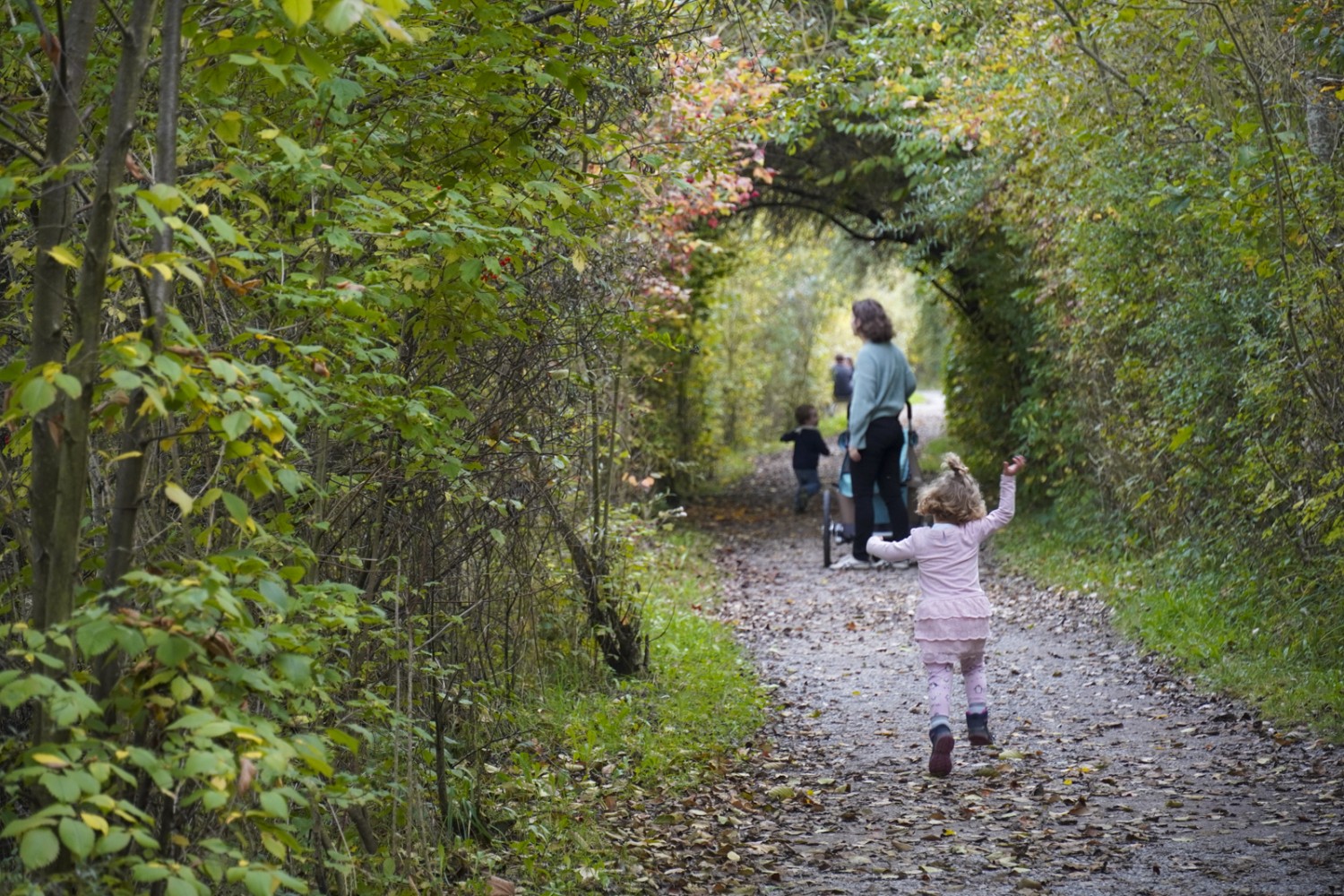 Le chemin passe sur une digue entre la Giesse et l’Aar, à travers le site protégé «Selhofenzopfen». Photo: Mia Hofmann