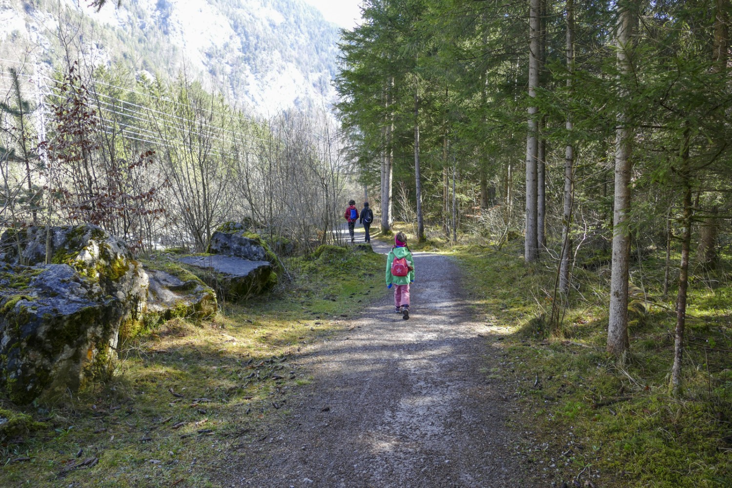 Un parcours plein de charme: des pierres couvertes de mousse bordent le chemin. Photo: Kim Bütikofer 