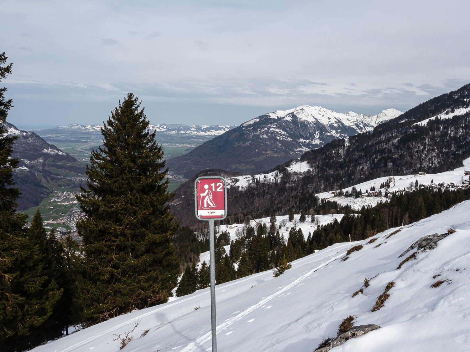 D’un panneau à l’autre en direction de la forêt de Chummenwald.