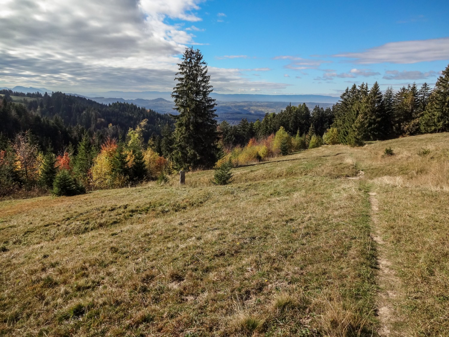 L’itinéraire s’apprête à plonger sur Semsales, dans la plaine Photo: Miroslaw Halaba