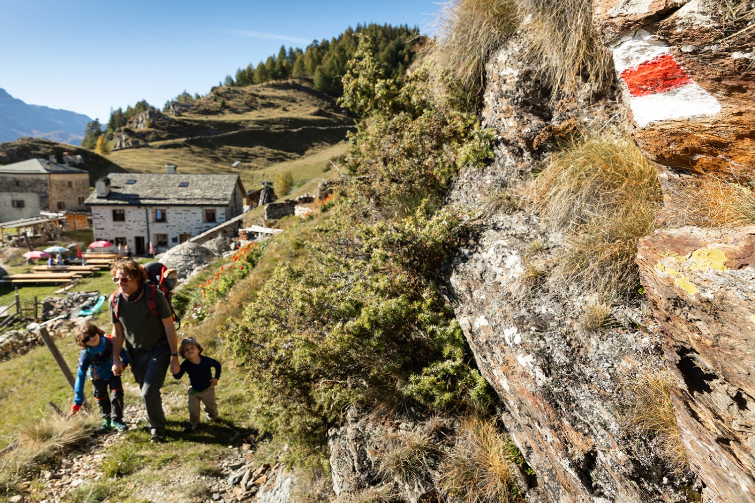 Le Chemin des charbonniers débute au-dessus de San Romerio. Photo: Severin Nowacki