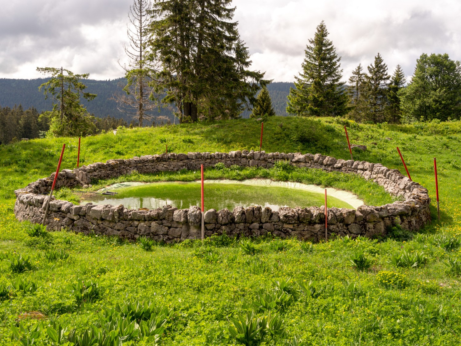 Réservoir d’eau entouré d’un mur en
pierres sèches près de Rionde Dessous. Photo: Severin Nowacki