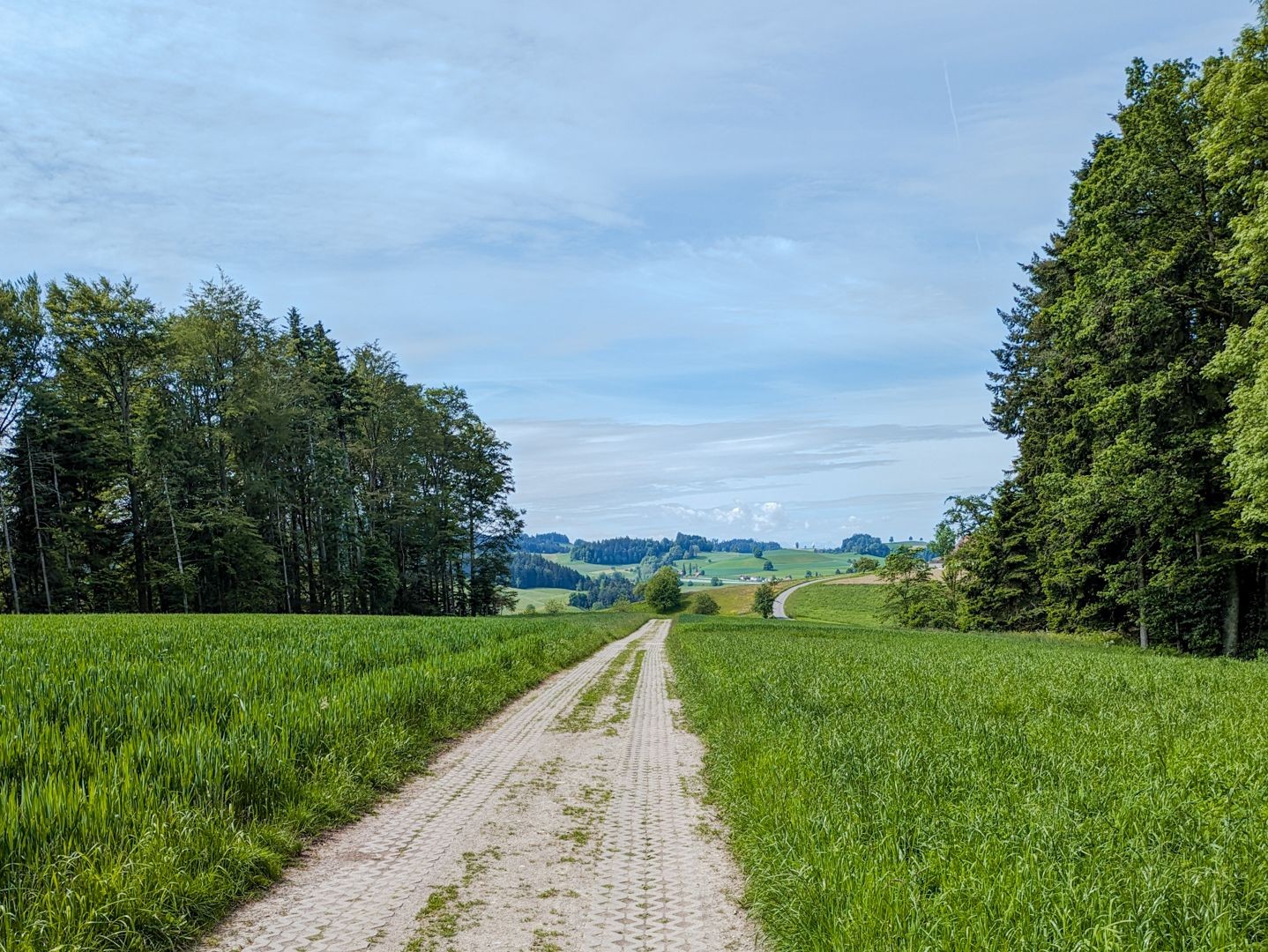 Ob links, ob rechts, die saftigen Wiesen sind ein stetiger Begleiter.