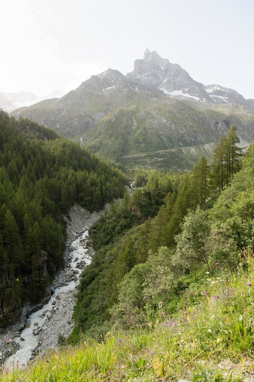 Üppige Vegetation und imposante Gipfel bilden die Kulisse des Aufstiegs nach Petit Mountet.