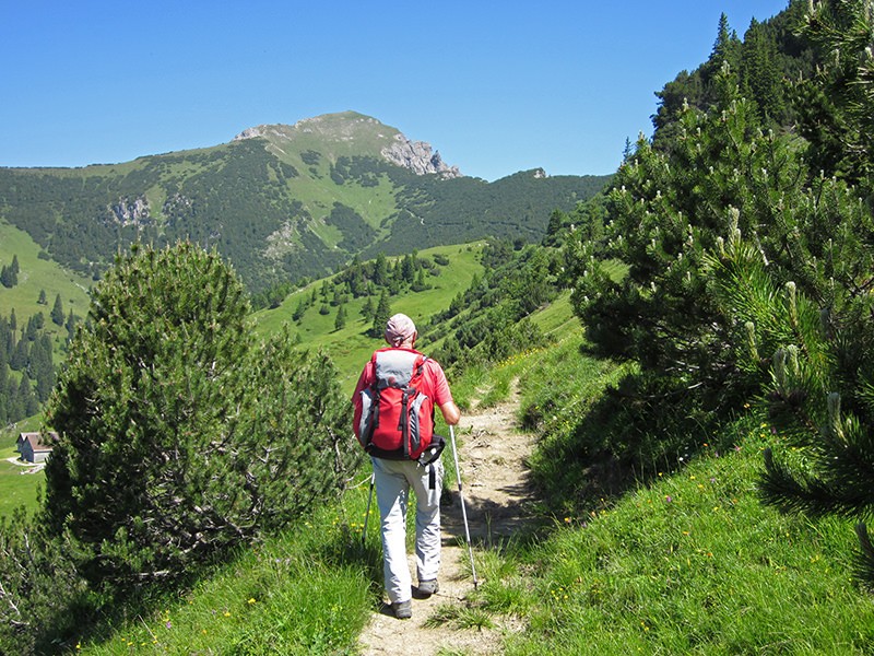 Der Weg führt zuerst durch den niedrigen Föhrenwald. Weit vorne ist schon der Galinakopf erkennbar. Bilder: Maria Zachariadis