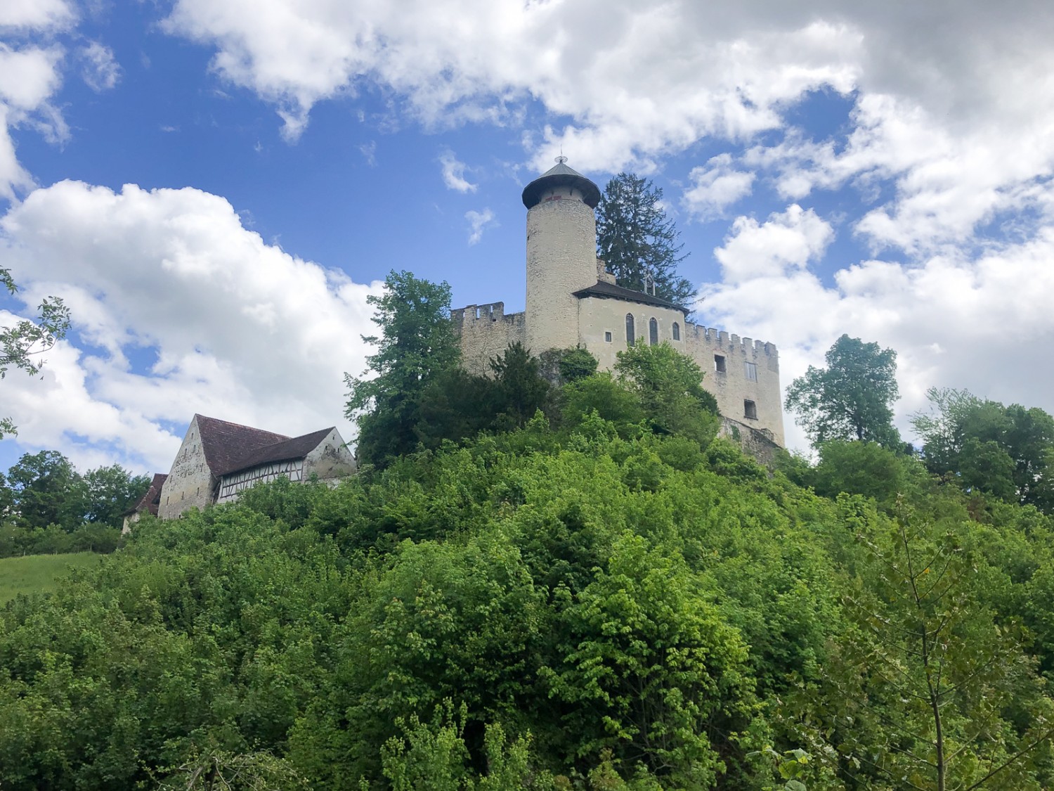 Le château fort de Birseck se dresse sur un promontoire rocheux. Photo: Thomas Gloor