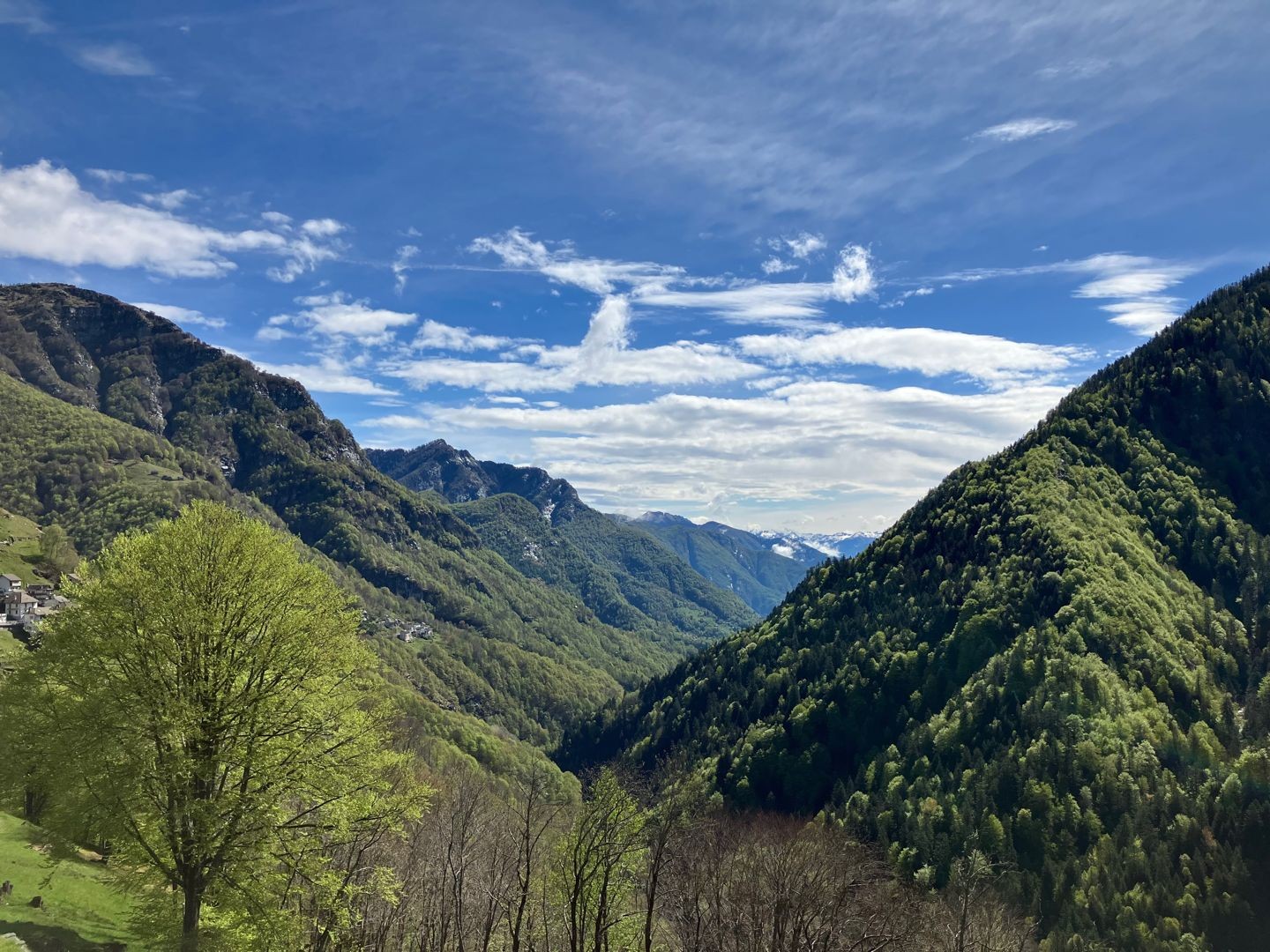 Randonnée dans la Vallée Onsernone: forêts et ruines tessinoises