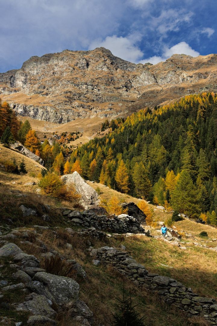 Gemütlicher Anstieg den Trockenmauern entlang bei Soste Richtung Valle del Cardinello.