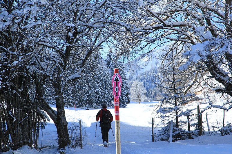 Après quatre montées, on atteint les Prés d’Albeuve. Photos: Elsbeth Flüeler