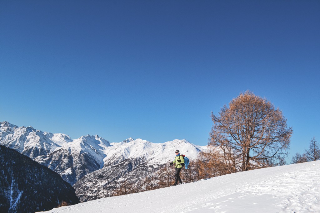 Aussicht in die Augstbordregion vom Waldegga-Trail. Bild: Sabine Joss