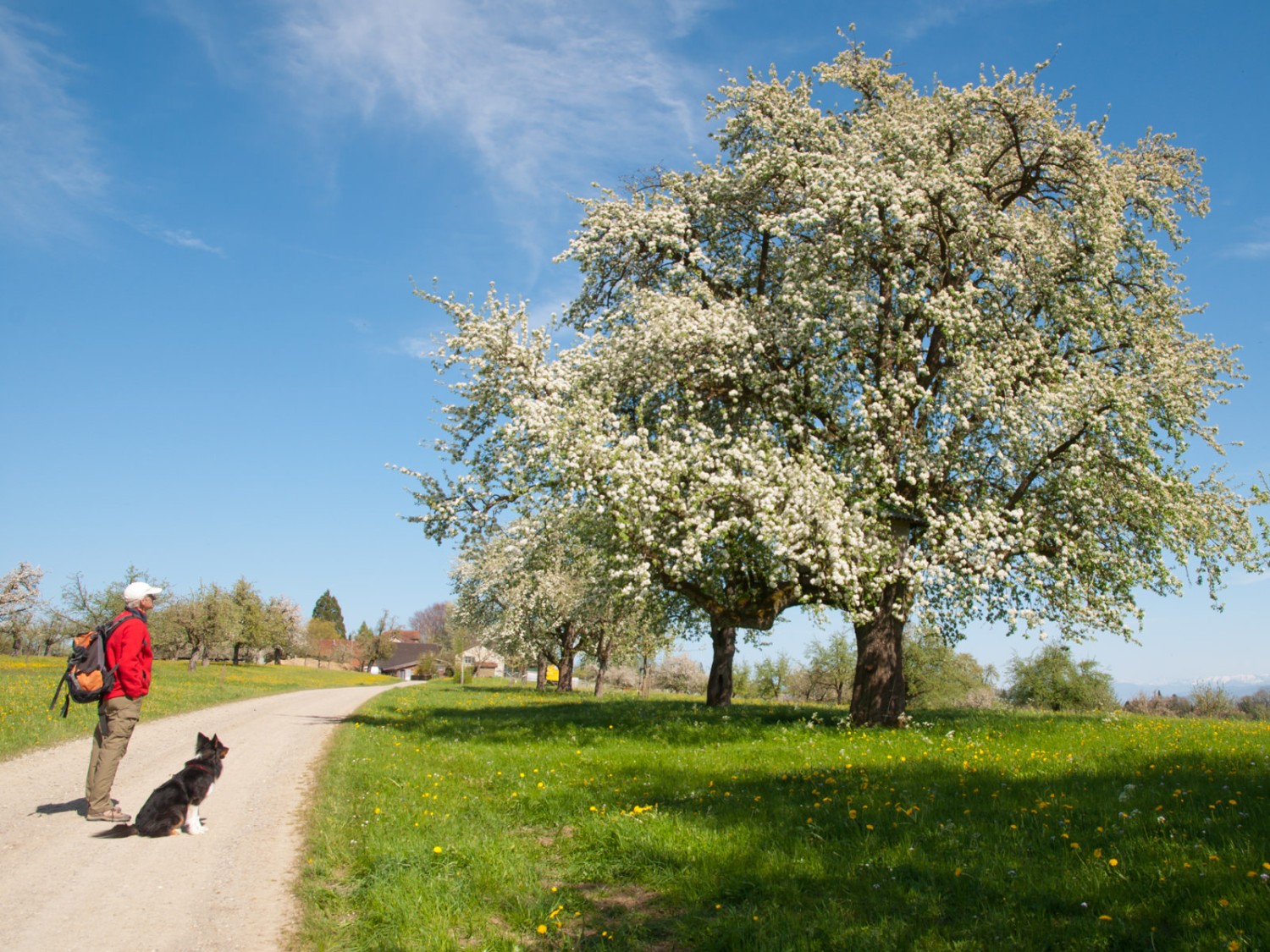 C'est parti:  la saison des randonnées est arrivée. Photo: Heinz Staffelbach