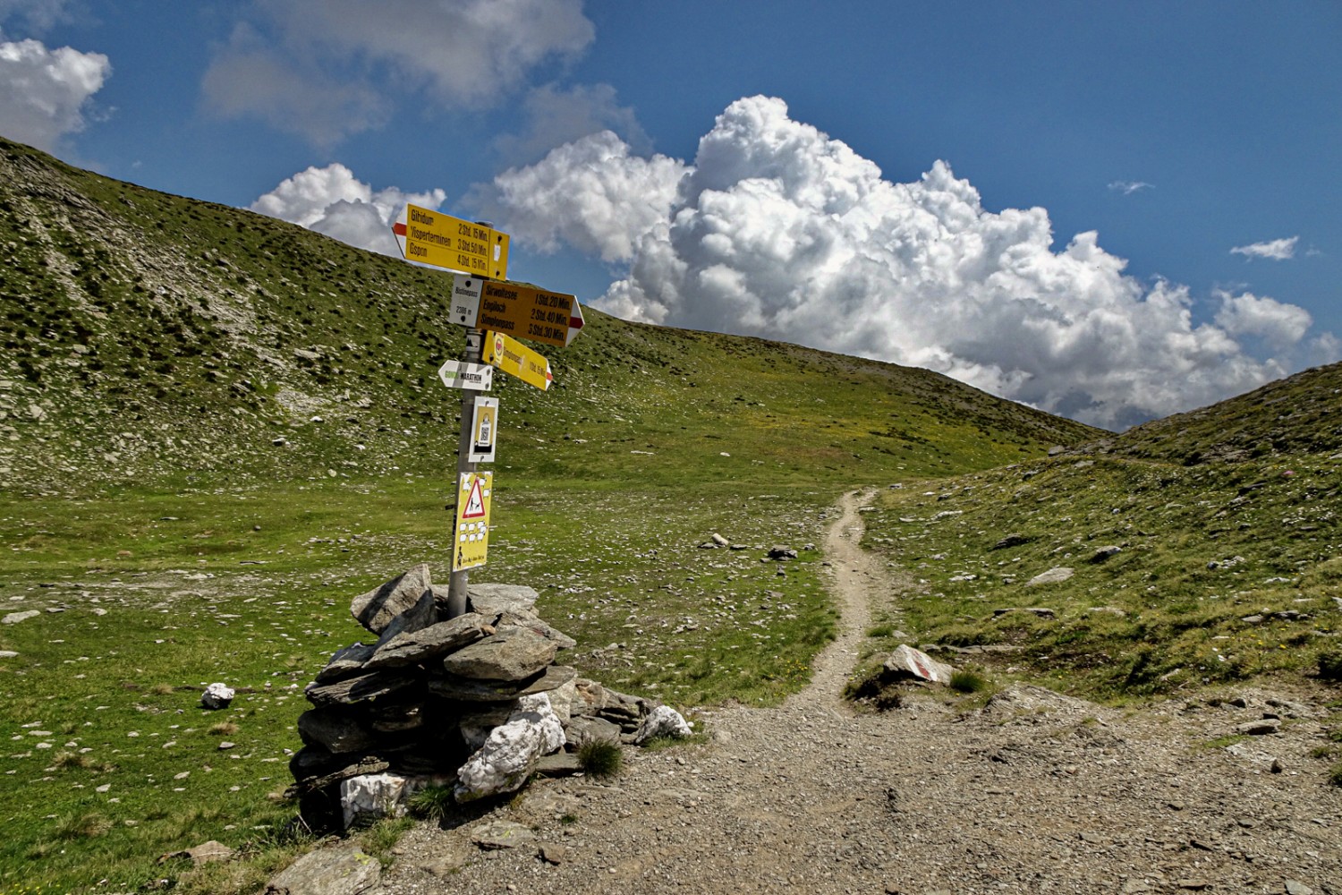 Auf dem Bistinenpass. Bild: Pascal Bourquin