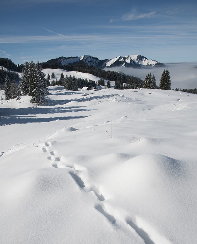 Oltre il mare di nebbia si cammina piacevolmente. Foto: Heinz Staffelbach