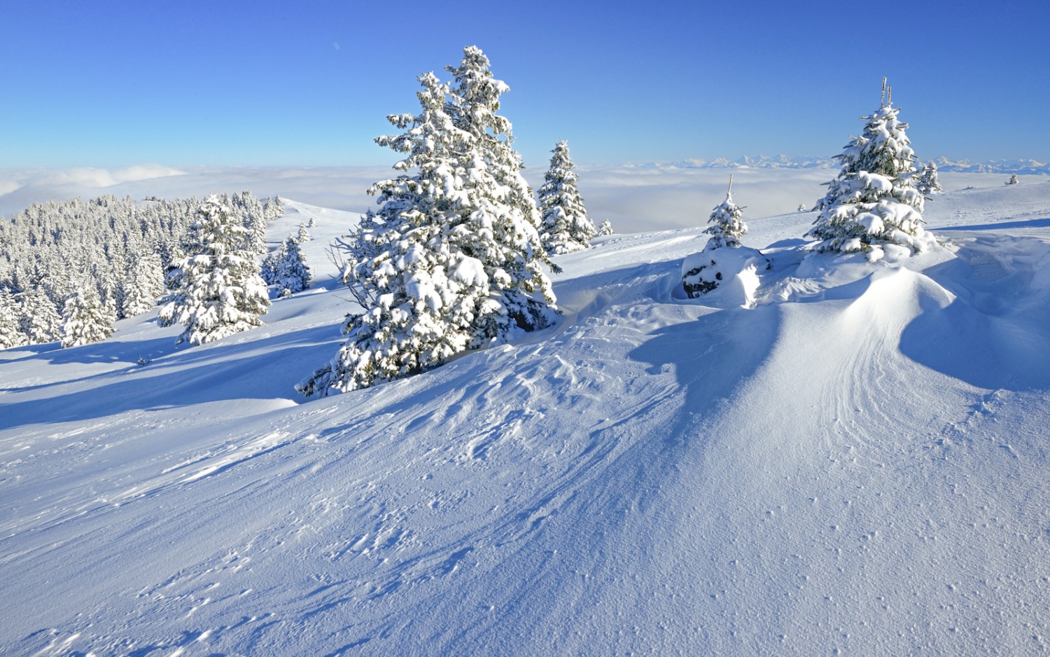 Sur le Chasseron. Photo: Natur-Welten