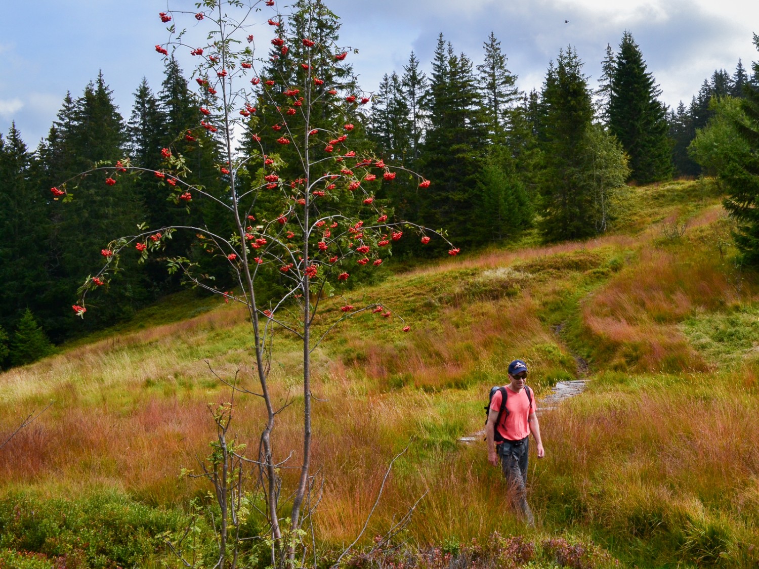 Erste Herbstfarben. Foto: Sabine Joss