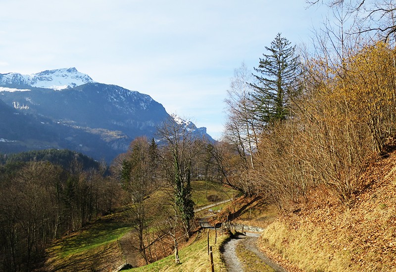 Bei Wylerli fällt der Blick Aaretal-auswärts auf den dunklen Rücken des Turen und auf den verschneiten Tschingel. Bild: Andreas Staeger