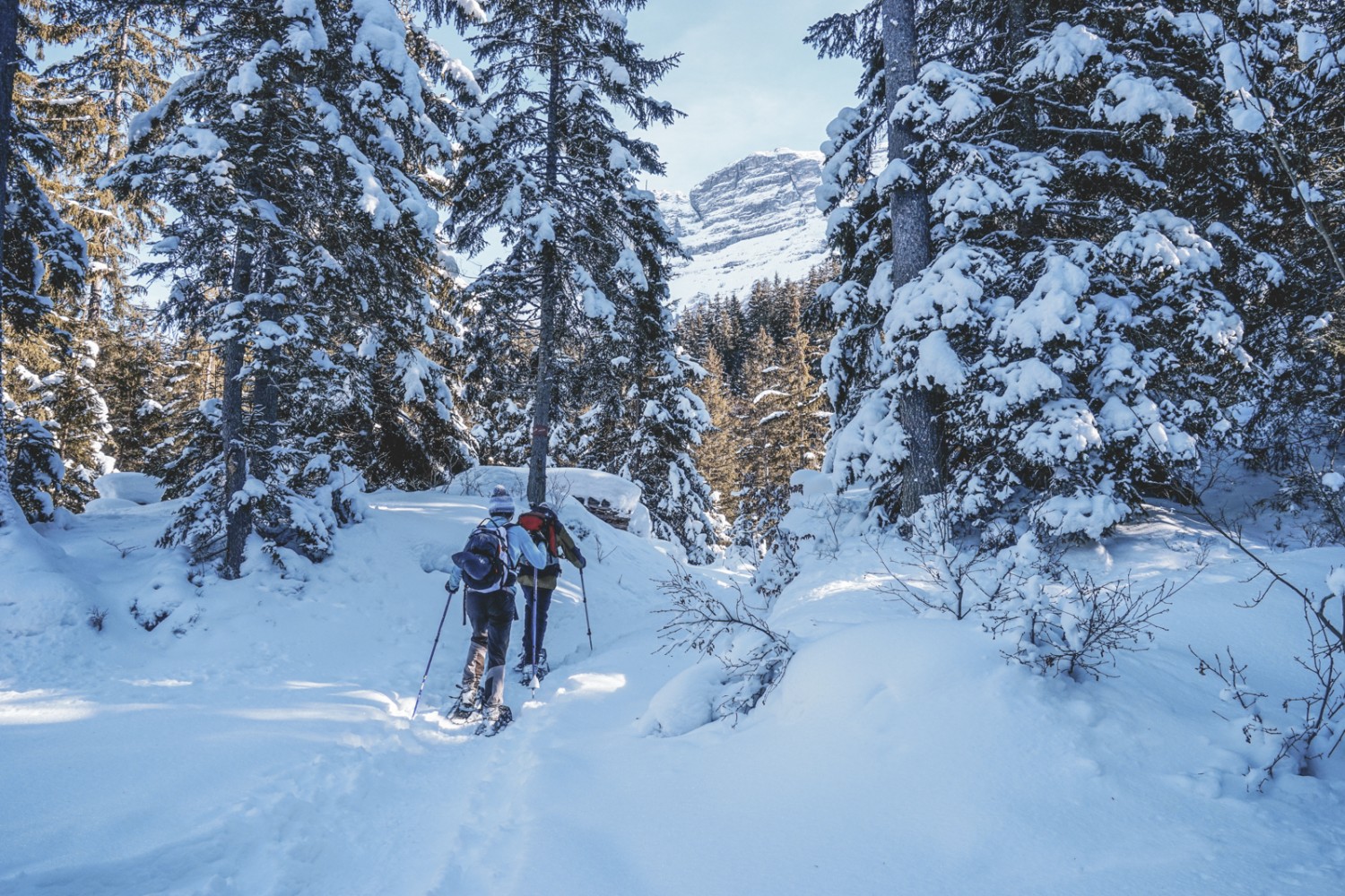 On attaque le dernier tronçon forestier sur une piste étroite. Photo: Fredy Joss