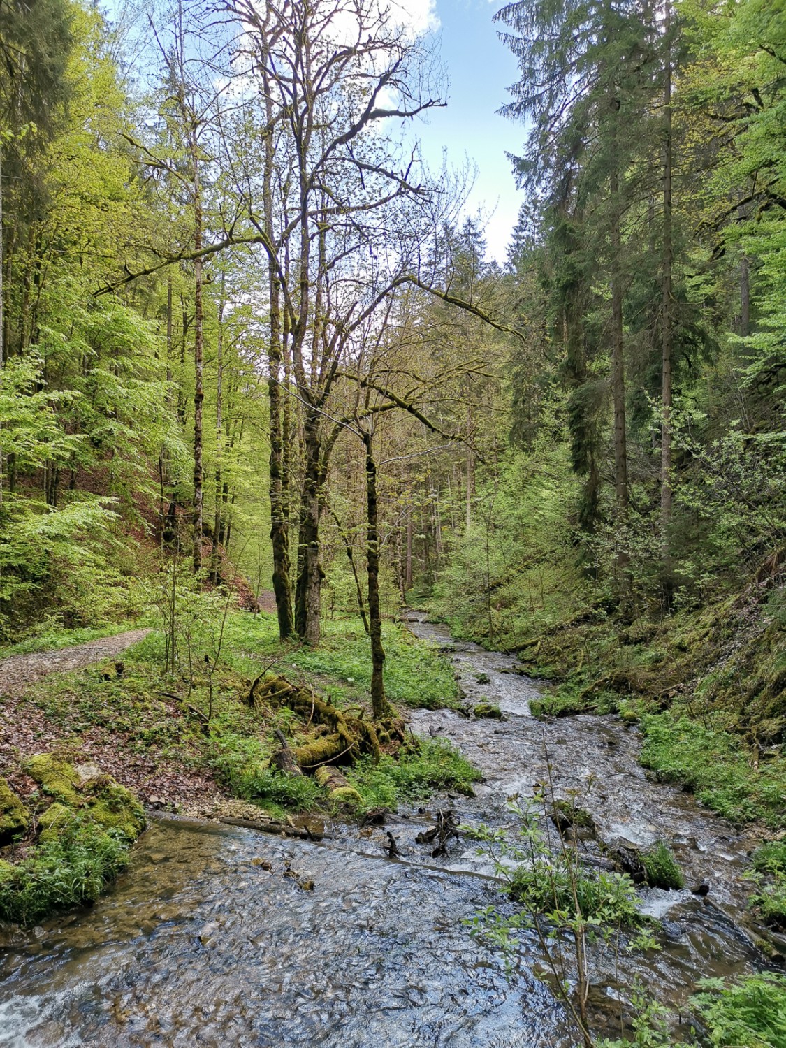 Dans la Combe Tabeillon. Photo: Evelyne Zaugg