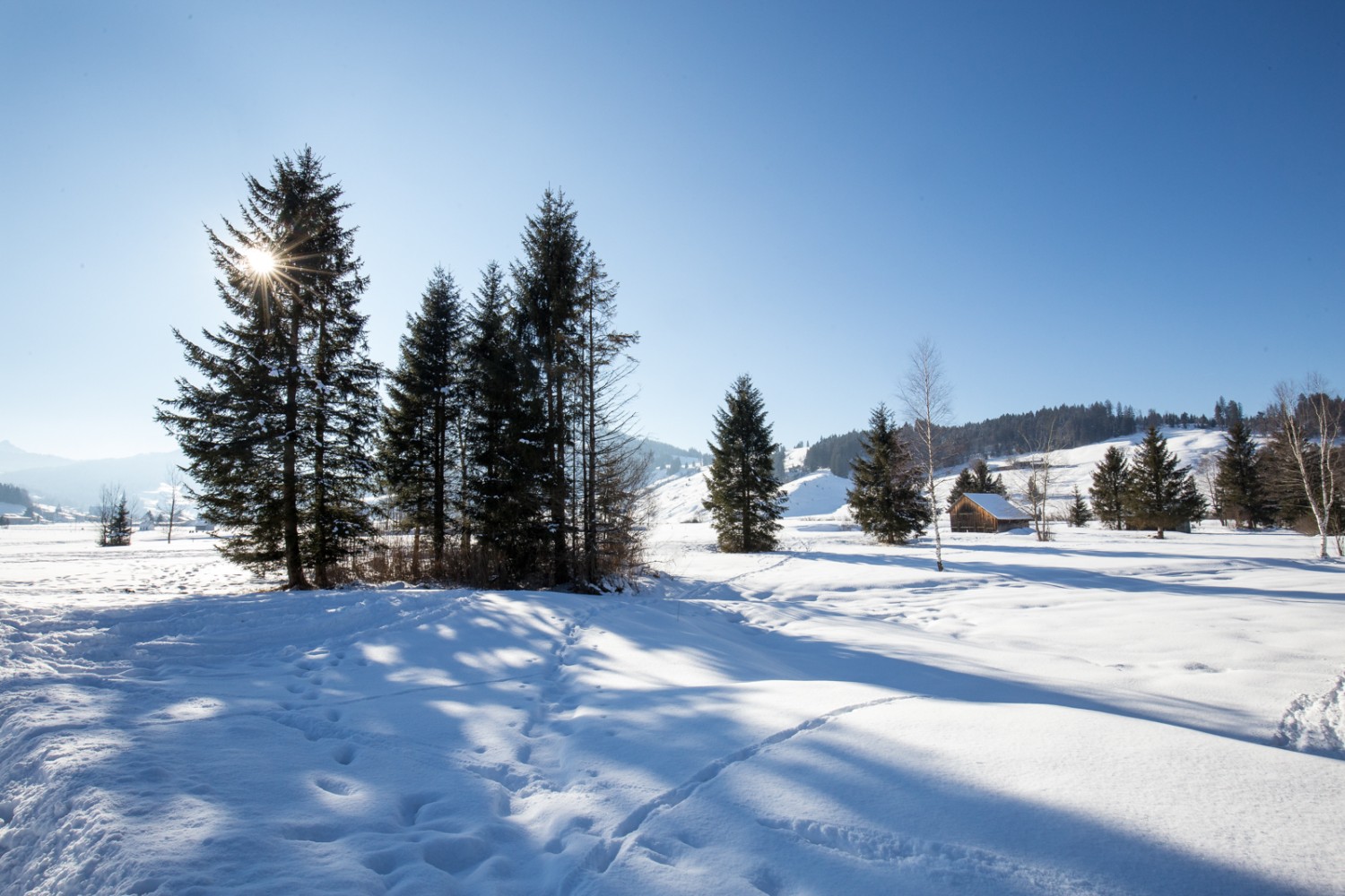 Les cabanes en bois sont les anciens Turpe-Hüttli de l'époque de l'exploitation de la tourbe. Seuls le lièvre, le renard et le cerf doivent quitter le chemin sur la haute lande.